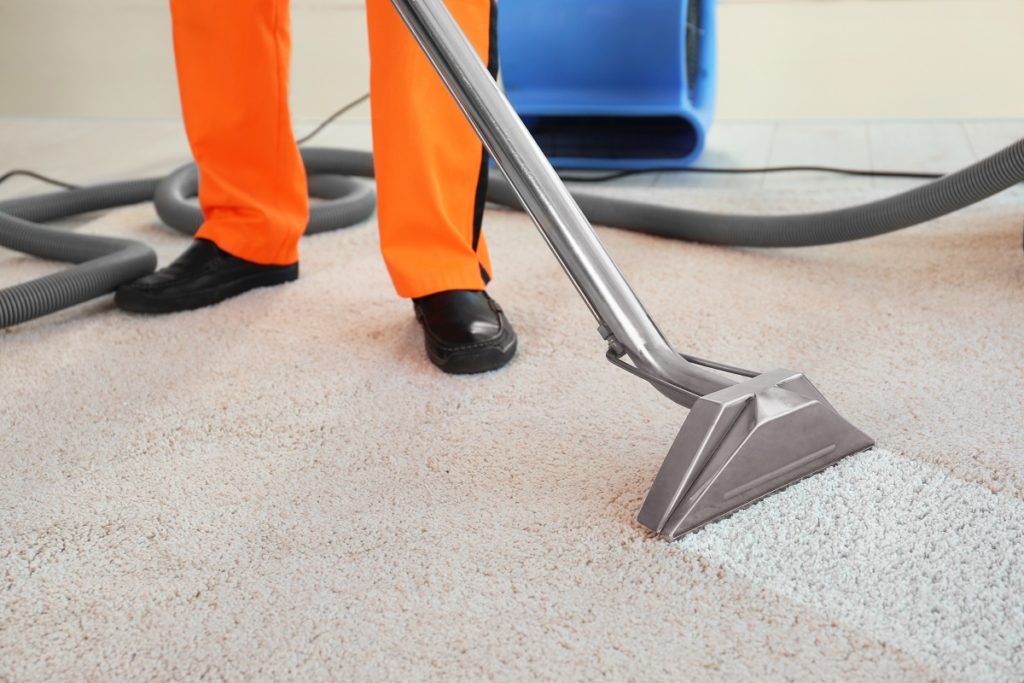 How To Choose The Best Carpet Cleaning Company